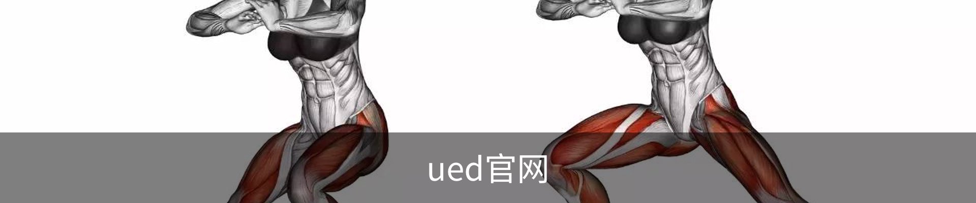 ued官网